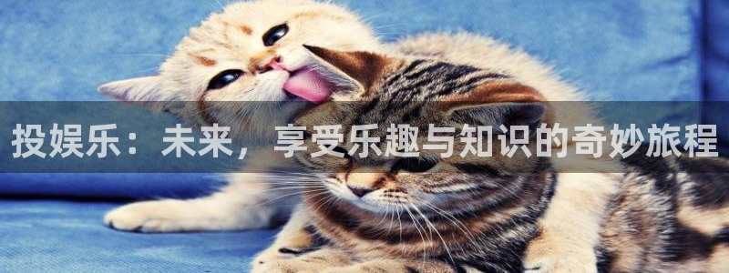 恒行5官网体验k88v典cc