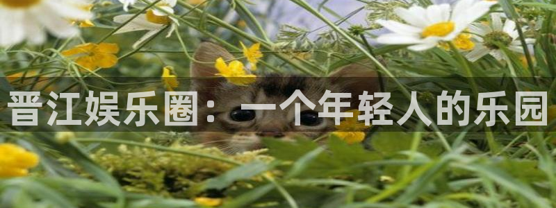 恒行5