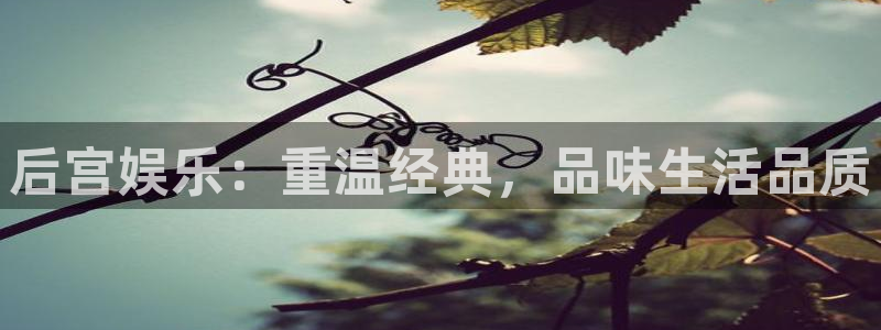 恒行5娱乐