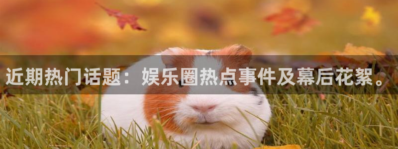 恒行5官网体验k88v典cc