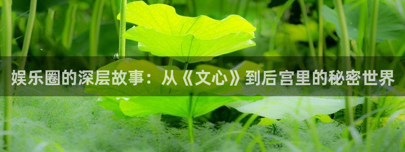 恒行5