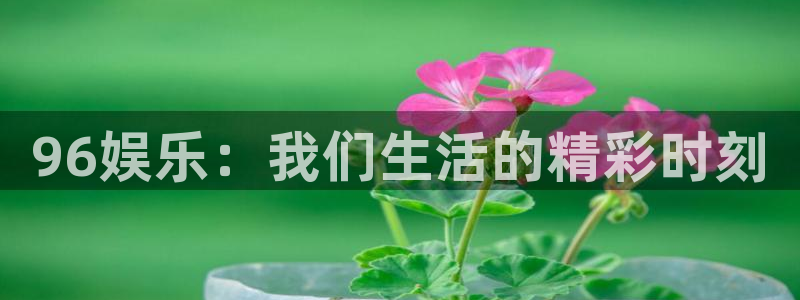 恒行5官网k88v店cc安全