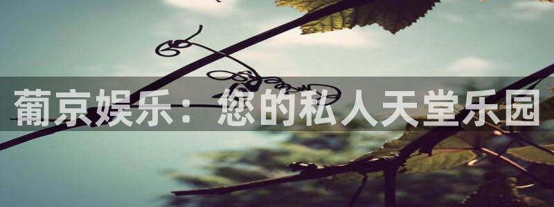 恒行5