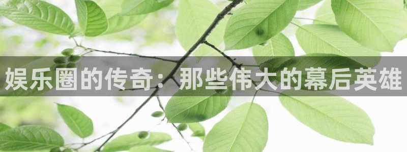 恒行5官网体验k88v典cc