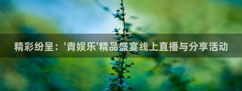 恒行5